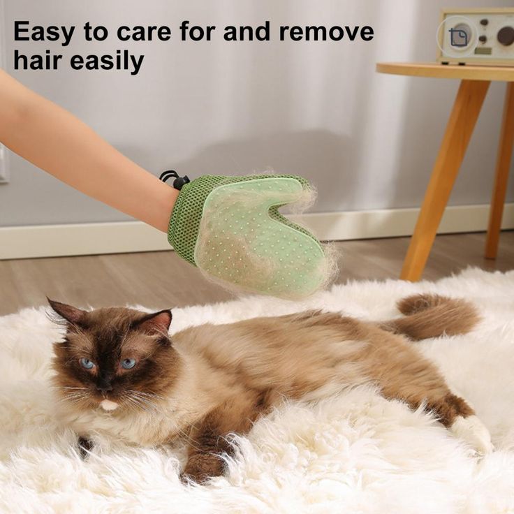 Static  Pet Hair Removal Gloves